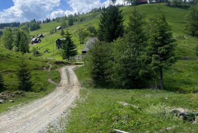 Teren intravilan Muntele Bocului | Panorama superbă | 15€/mp - 4