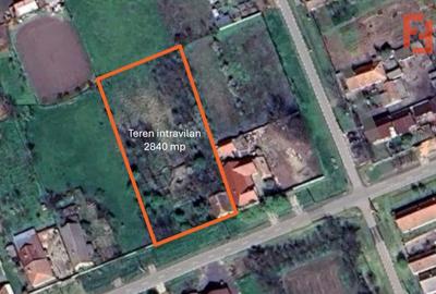 Teren intravilan 2840 mp cu fundatie - Jebel - 1