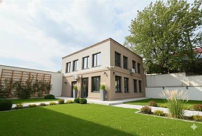 Spatiu Comercial Valea Lupului 140 mp - 1