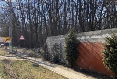 Teren agricol intravilan de 15000 mp, în Corbeanca