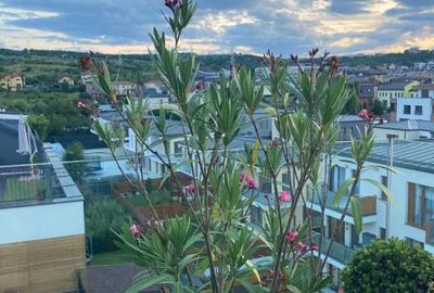 Penthouse de inchiriat in Borhanci, terasa generoasa - 15