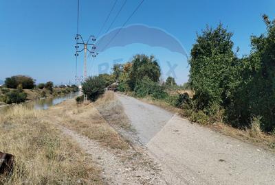 Teren 1,035mp Roznov / Strada Șes - 8