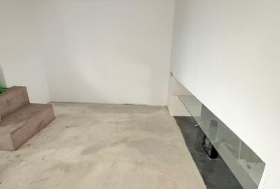 Spatiu comercial in Centrul orasului, 163 mp teren - 3