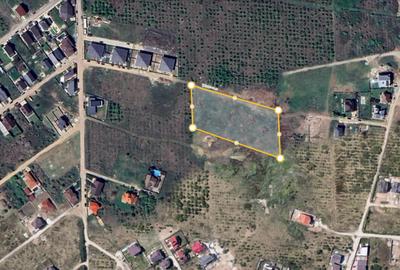 Teren 3600mp Mogosoaia - Oportunitate de investitie! - 2