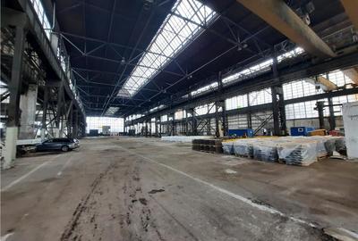Spatiu Industrial - 10000 mp - Productie - Industrie Grea - 3