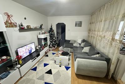 Apartament cu 2 camere semidecomandat, mobilat în Brazda lui Novac