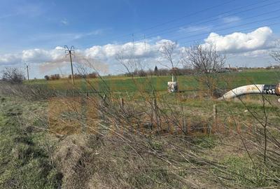 Teren 18.000 mp de vanzare, DN -Stația Meteo spre Valu lu Traian - 13
