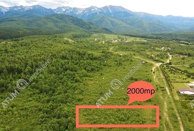 Teren extravilan 2000 mp in Porumbacu de Sus din Sibiu - 1