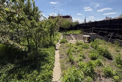 Casă individuală renovabilă | 3 camere | 849 mp teren | Sebeș - 3