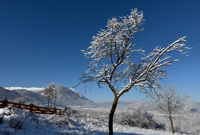Teren intravilan loturi intre 500 si 1000 m, la 5 km de Moieciu - 1