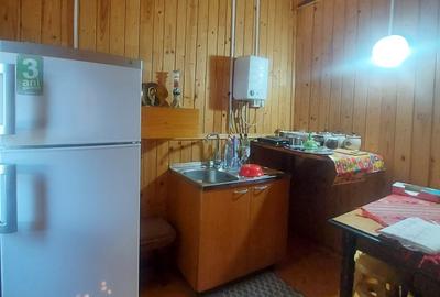 Vanzare 3 case moderne + 3 anexe si 2000 mp teren gradina, pomi in Tuzla la mare - 36