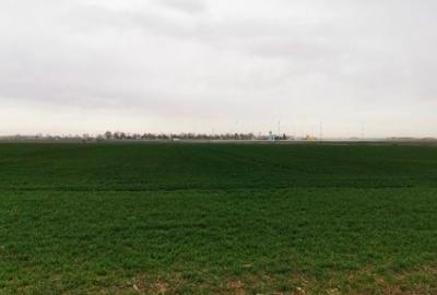 Vand teren intravilan 4,5 hectare vis a vis de Aeroportul Mihail Kogalniceanu - 4