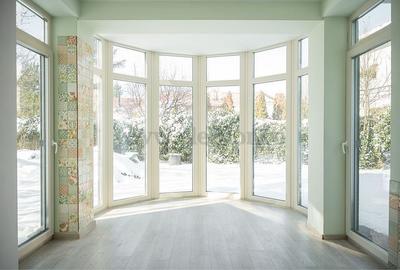 Vila în zona Pipera-Iancu Nicolae - 4