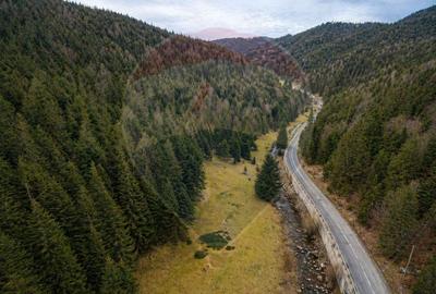 Arieșeni–Strada Fața Cristesei -Teren 4.331 mp cu Peisaj de Poveste - 3