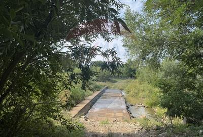 Teren 10.000 mp Calatele – Apuseni, langa rau, ideal investitie turism - 21