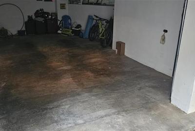 Herastrau, duplex 3 camere - 18