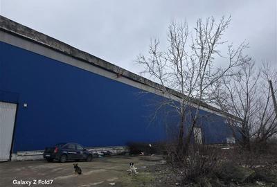 Inchiriere spatiu industrial/hala/depozit Giurgiu - Port, Giurgiu - 10