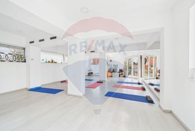 Spațiu comercial |Business la cheie|  Spa de lux | Mogosoaia - 23
