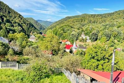 V. BORCUTULUI VILA 600mp P+E+M cu 2000mp teren! - 29