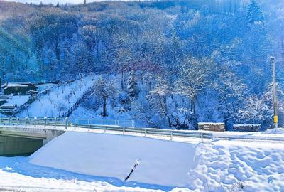 Teren intravilan în Tilișca, zonă montană superba! - 3
