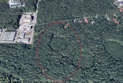 46644 mp teren in Padurea Baneasa proiect exclusivist - 3