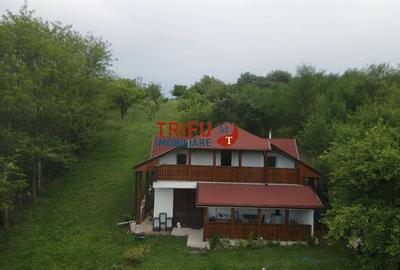 Casă individuală cu 5 camere în Cetate