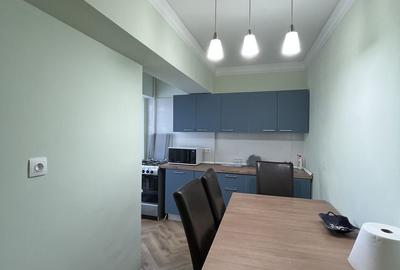 Apartament 2 camere de inchiriat Unirii, Centrul Civic - 11