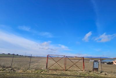 Teren intravilan - Halchiu, construire locuinte individuale - 8