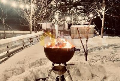 Pensiune de vânzare | Vișeu De Sus, Maramureș - Valea Vinului - 10