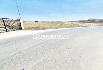 Teren 27.000 mp.deschidere la 2 drumuri ,75 euro mp. - 5