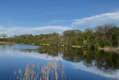 Teren vedere panoramica parțială lac si pădure, central, toate utilitățile - 14