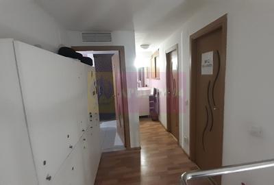 Spatiu Comercial Stradal Șoseaua Colentina zona Teiul Doamnei Suveica - 27