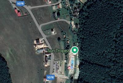 Teren de vanzare in Salicea - 1