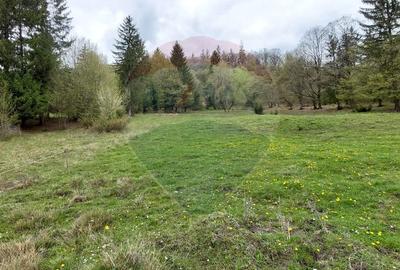 Poienita 2800mp, Covasna, zona hotel Clermont, inconjurat de padure - 17