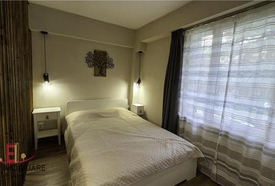 Apartament 1 camere, Dambu Pietros, RENOVAT, prima inchiriere - 3