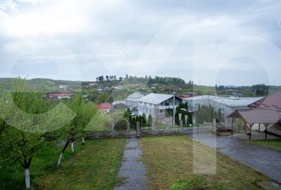 Proprietate unică, în zonă verde și liniștita - 6