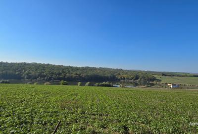 Loturi de teren intravilan la Lebada - 1