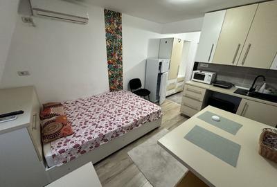 Apartament 1 camera la Mansarda - 5