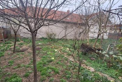 Bocsa Vasiova, Casa cocheta pentru familie, cu Gradina. - 27
