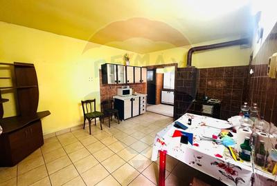 Casă 4 camere 1672 mp teren in Horia - 12