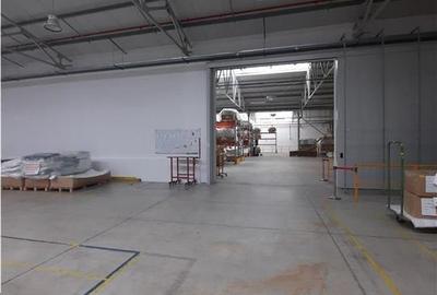 Spatiu Industrial - 6500 mp - Productie - Depozitare - 5