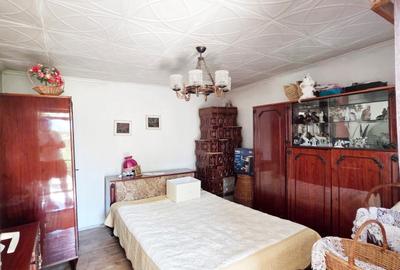 VANZARE CASA + TEREN 1000 MP. - ODAIA TURCULUI, DB - 13