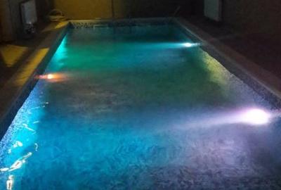 Mansion Luxuriant | Piscina Interioara | Teren tenis | 2500 mp gradina superba - 40