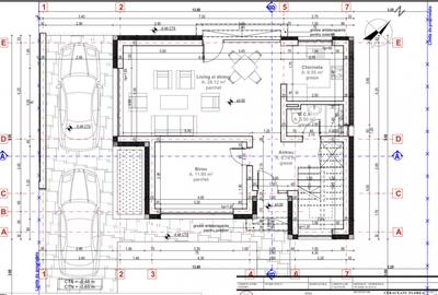 CASĂ DE VIS CU DESIGN MODERN - CIARDA ROSIE, TIMIȘOARA - 9