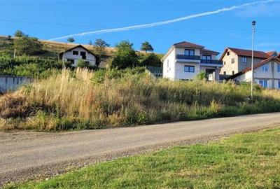Teren cu aut.construire,Sura Mare,langa Sibiu,comision 0 - 1