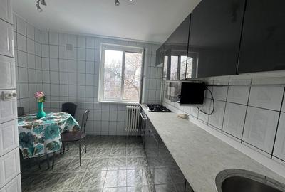 Apartament 3 camere de inchiriat, loc de parcare, Raul Doamnei- Pet Friendly - 5