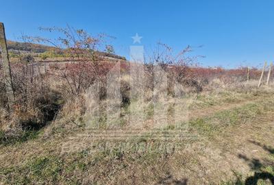 Teren intravilan | De vanzare | 3900 mp | 17 ml deschidere | Cetate - 3