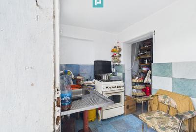 Casă individuală la Beregsău Mare, 2890 mp teren - 25