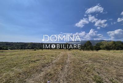 Vânzare teren 13.000 mp - Runcu-Suseni - oportunitate turistică - 7