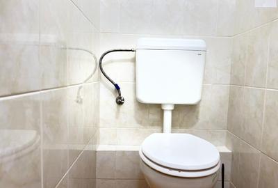 Spatiu comercial zona Lipovei - 8